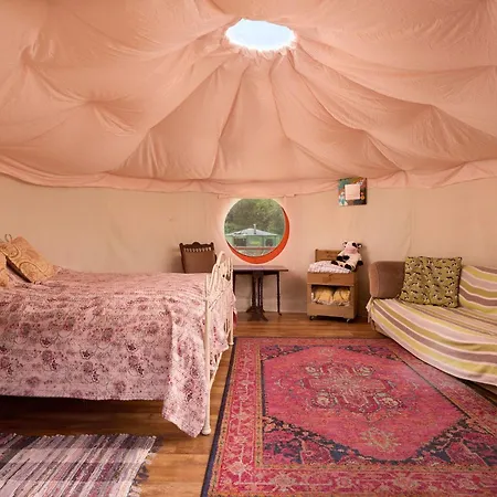 Allercombe Farm Glamping Yurts & Wild Camping South Brent Exterior foto